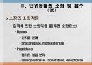 소화 및 흡수 27페이지