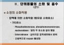 소화 및 흡수 28페이지