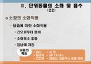 소화 및 흡수 29페이지