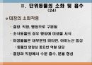 소화 및 흡수 32페이지