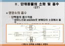 소화 및 흡수 35페이지
