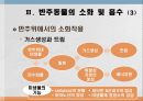 소화 및 흡수 40페이지