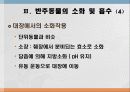 소화 및 흡수 41페이지