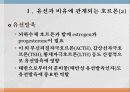유생산 영양 3페이지