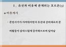 유생산 영양 4페이지