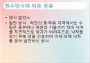 수력발전의 종류와 원리 장단점 및 국내외 수력발전 16페이지