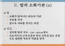 일생산 영양  5페이지