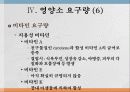 일생산 영양  19페이지