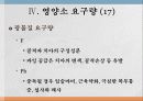 일생산 영양  30페이지