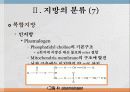 지방과 대사작용 13페이지