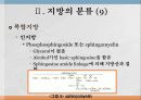지방과 대사작용 15페이지