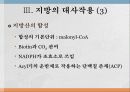 지방과 대사작용 23페이지