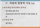지방과 대사작용 34페이지