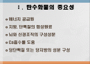 탄수화물 대사작용 2페이지