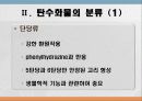 탄수화물 대사작용 3페이지