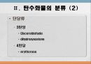 탄수화물 대사작용 4페이지