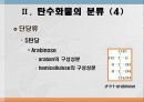 탄수화물 대사작용 6페이지