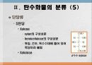 탄수화물 대사작용 7페이지