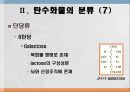 탄수화물 대사작용 9페이지