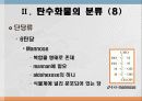 탄수화물 대사작용 10페이지