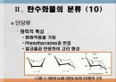 탄수화물 대사작용 12페이지