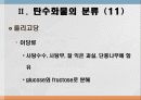 탄수화물 대사작용 13페이지