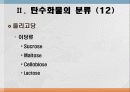 탄수화물 대사작용 14페이지
