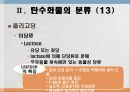 탄수화물 대사작용 15페이지