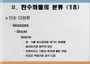 탄수화물 대사작용 20페이지