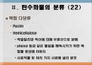 탄수화물 대사작용 24페이지