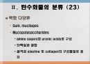 탄수화물 대사작용 25페이지