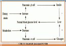 탄수화물 대사작용 36페이지