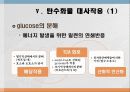 탄수화물 대사작용 37페이지