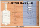 탄수화물 대사작용 38페이지