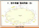 탄수화물 대사작용 39페이지