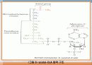 탄수화물 대사작용 40페이지