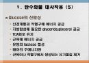탄수화물 대사작용 46페이지