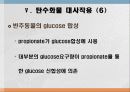 탄수화물 대사작용 47페이지