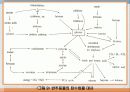 탄수화물 대사작용 49페이지
