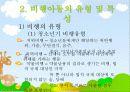 재혼가정아동 및 비행아동을 위한 아동복지 17페이지