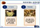 파리바게트 마케팅성공사례(4P,STP,SWOT분석) 14페이지
