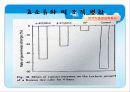전분의 가수 분해 효소와 이용 18페이지