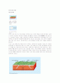 판구조론 ( plate tectonics), 판운동, 판게아의 분열,고기후와 고해양, 조산운동) 2페이지