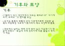 이탈리아와인의 총정리 ppt 9페이지