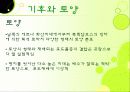 이탈리아와인의 총정리 ppt 10페이지