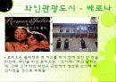 이탈리아와인의 총정리 ppt 24페이지