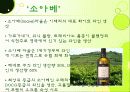 이탈리아와인의 총정리 ppt 25페이지