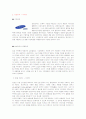 마케팅믹스(4P)에따른 기업들의마케팅전략사례 5페이지