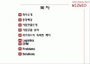 위즈위드(wizwid) 경영분석과 CRM분석 2페이지