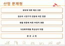 SK 에너지의 산업 분석 및 마케팅 전략 분석 48페이지